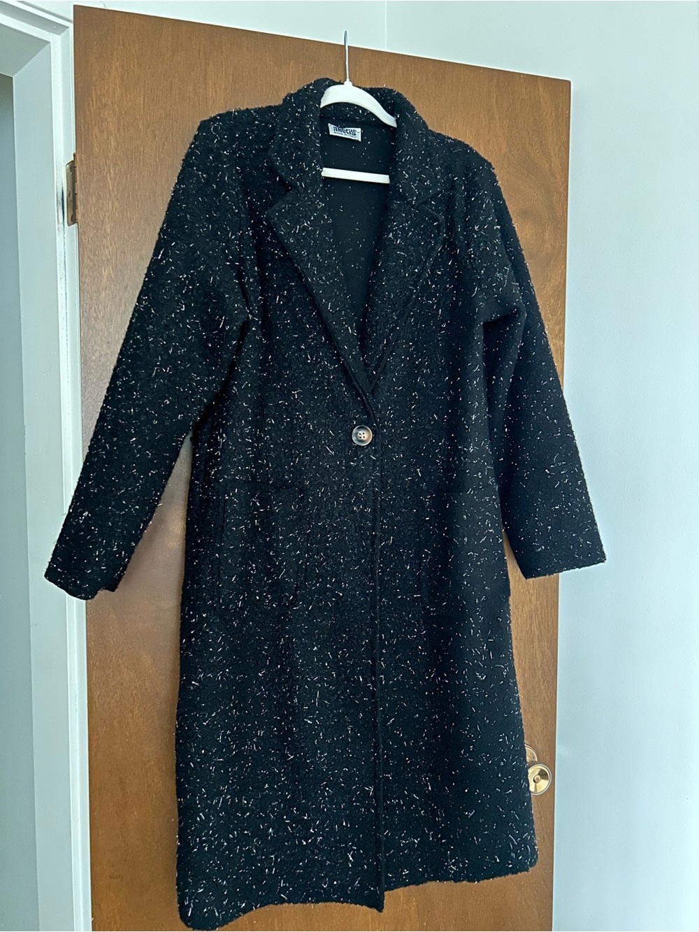 Classic Black Shiny Long Coat - Women